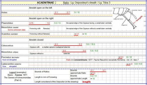 Réf. 352 083 : Acaenitinae divers